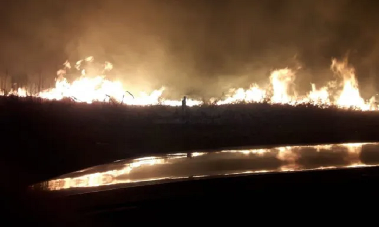 Continúan los incendios en las islas