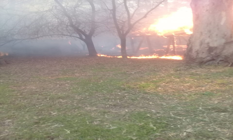 Se incendió quincho y la lancha en una casa quinta