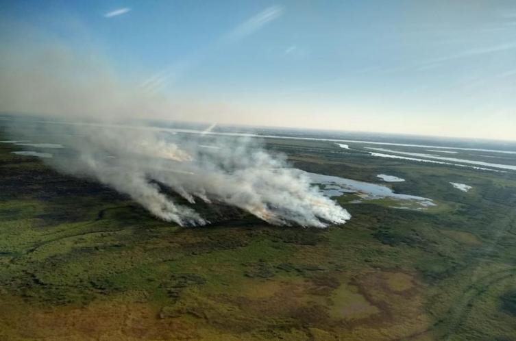 Se conformó el Comité de Emergencia Ambiental para prevenir los incendios en las islas