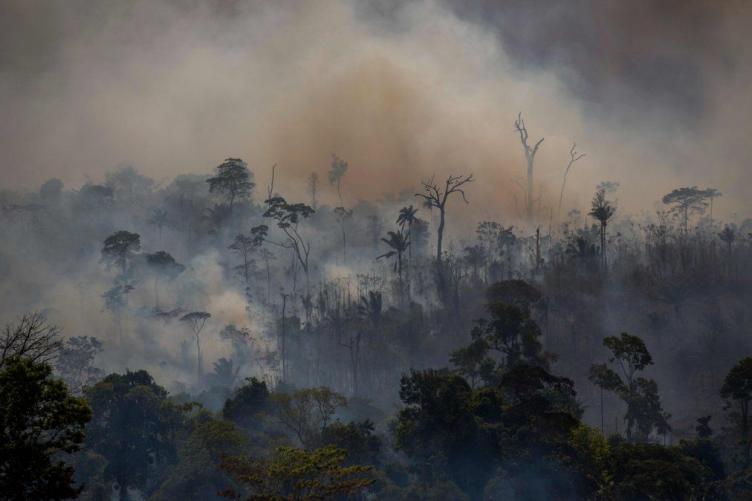 Crece la preocupación por los incendios en el Amazonas
