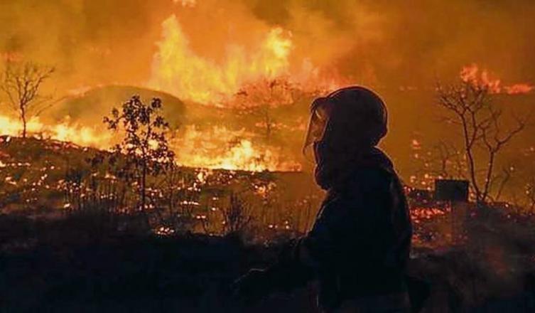 El impacto de los incendios forestales en la salud de las personas