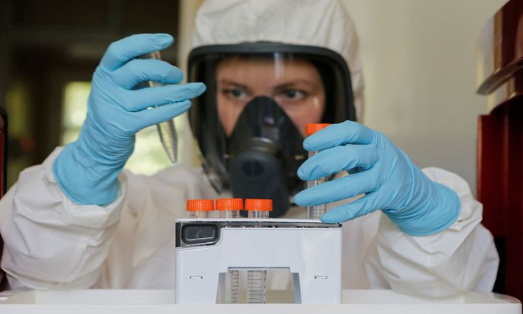 Científicos descubren un anticuerpo que neutraliza al COVID-19