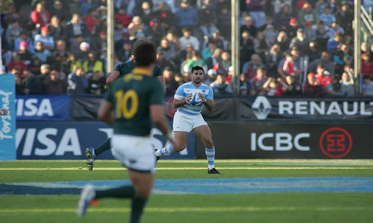 Rugby Championship: el fixture confirmado, horarios y sedes de Los Pumas