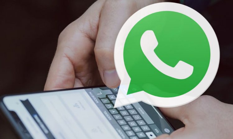 WhatsApp: cómo saber si un contacto te silenció
