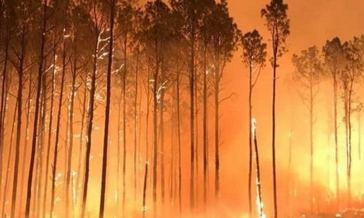 WRC: El campeón de Rally se solidarizó por los incendios en Córdoba