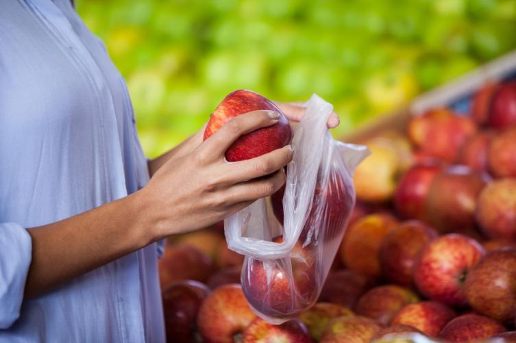 Diputados impulsa el Programa de Fortalecimiento Tecnológico del Sector Frutihortícola