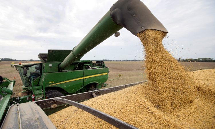 Las nuevas medidas para la agroindustria