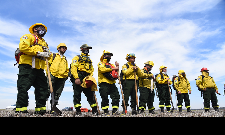  Incendios: brigadistas resguardaron viviendas y contuvieron los principales focos  
