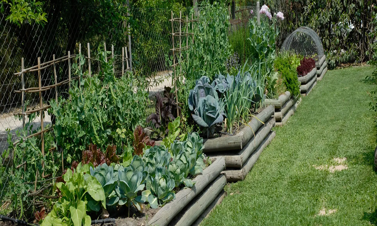 Qué verduras te ayudarán contra las alergias primaverales