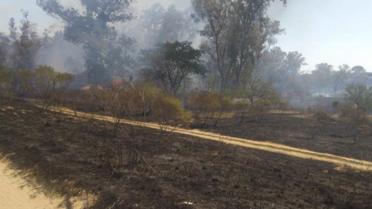 Atraparon al presunto pirómano que habría incendiado la reserva en Colastiné