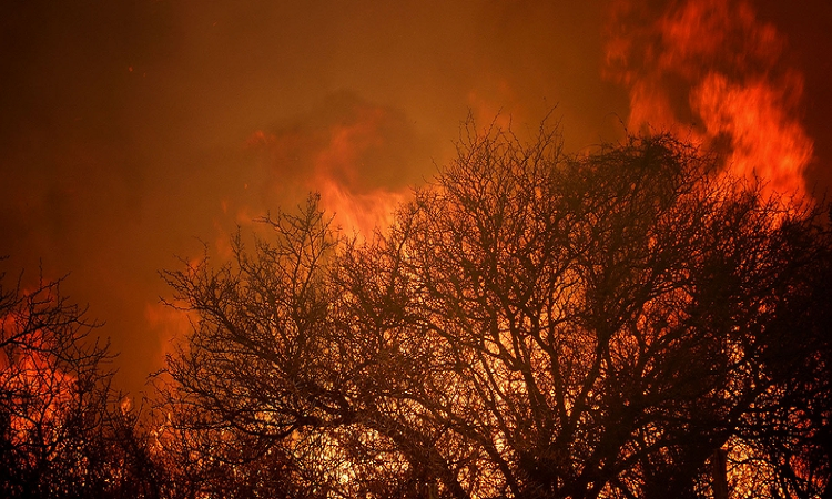 La NASA seleccionó un proyecto de jóvenes argentinos que busca controlar incendios forestales con tecnología