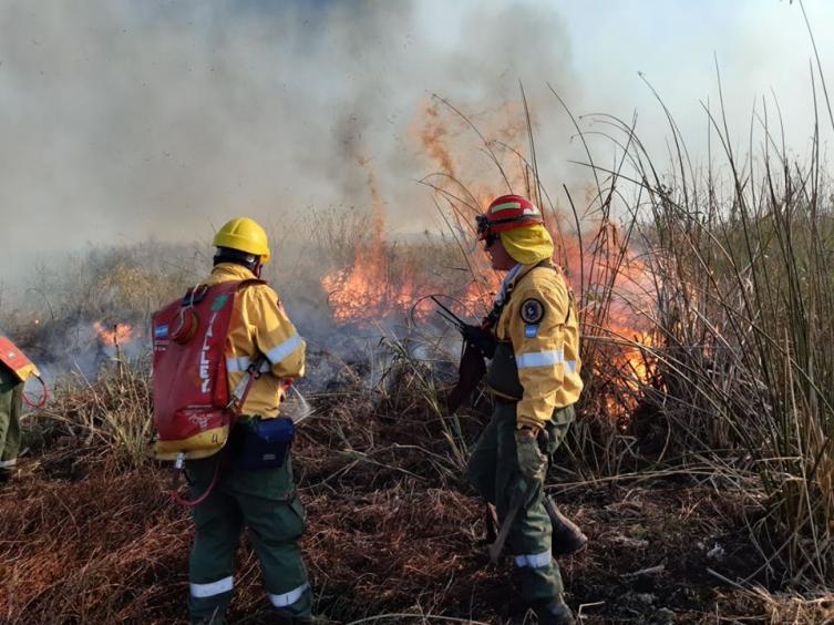 Otorgan un bono de 10 mil pesos para brigadistas que combaten incendios