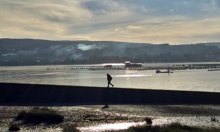 Un recorrido por Isla de Chiloé, tierra de humo y de leyendas