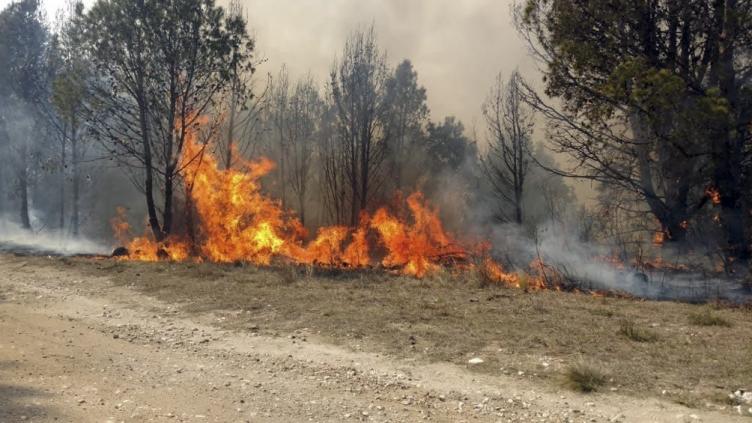 Salta es la provincia más afectada por los incendios forestales