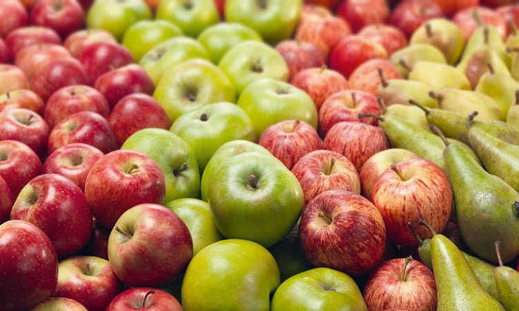 Por qué incorporar la manzana en la alimentación