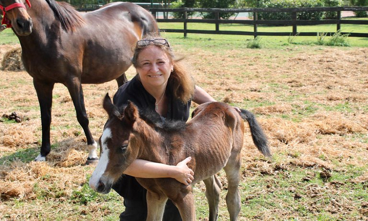 Argentina: nacieron potrillos a partir de fecundación in vitro de óvulos criopreservados