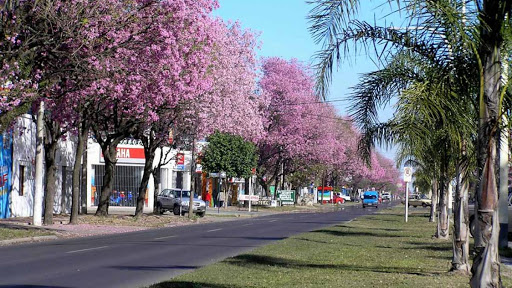 Un domingo con temperaturas agradables
