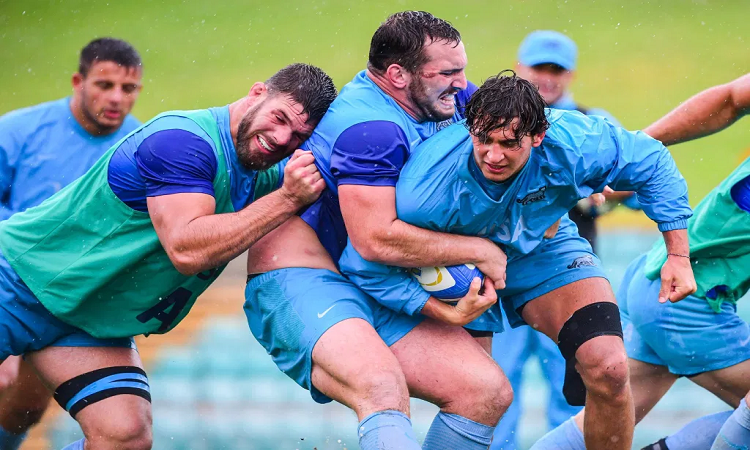 Los Pumas juegan su segundo amistoso 