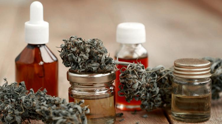Cannabis medicinal: la nueva reglamentación que habilita el autocultivo