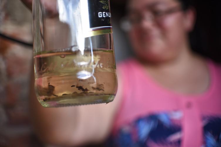 La Municipalidad capacita a promotores ambientales para prevenir el dengue