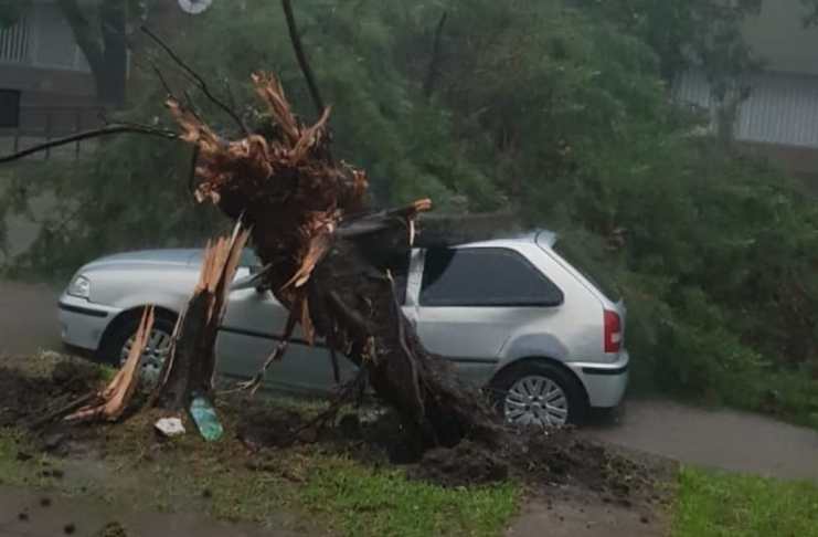 Reconquista: Fuerte temporal de lluvia y viento