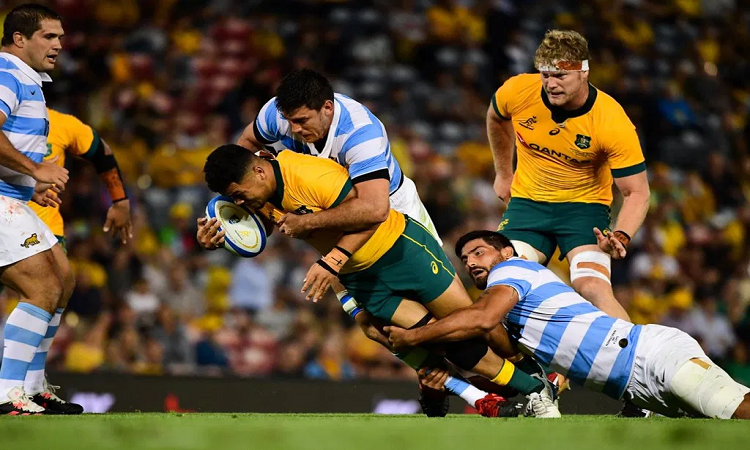 Se confirmó la Formación de Los Pumas para enfrentar a los Wallabies