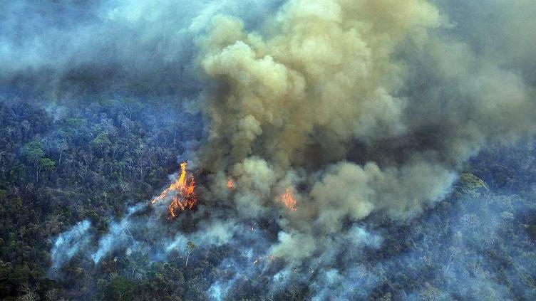 Deforestación: el Amazonas perdió el 8% de su territorio en 18 años