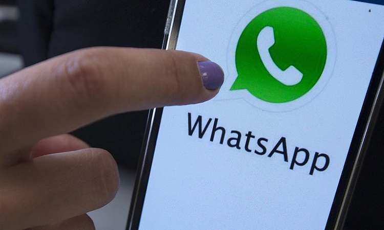 Versión beta de WhatsApp: así podes descargarla