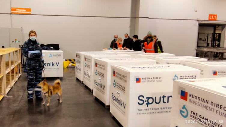 Desde Rusia, anuncian planes para fabricar la vacuna en Argentina