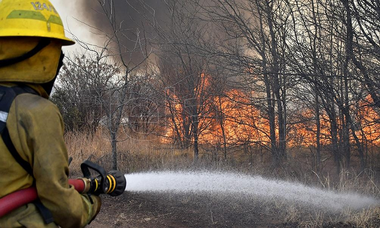 Más de un millón de hectáreas arrasadas por el fuego