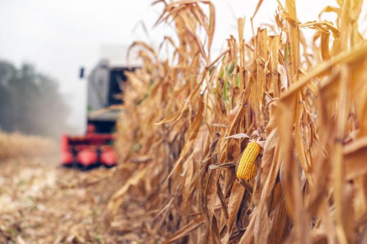Cierre de exportaciones: la Mesa de Enlace se reúne y analiza un paro 