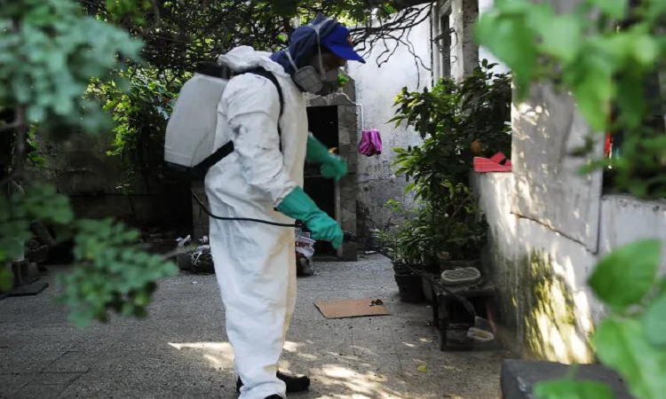 El municipio confirma el primer caso importado de dengue