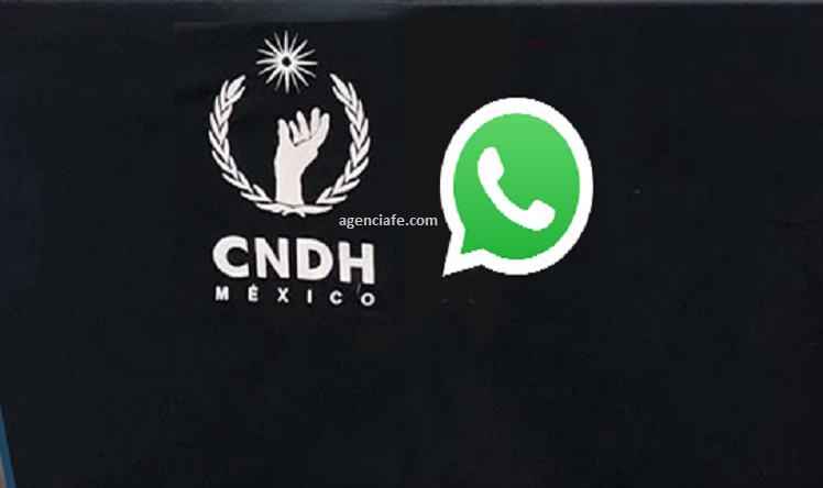 WhatsApp: CNDH publicó recomendaciones por los nuevos términos y condiciones