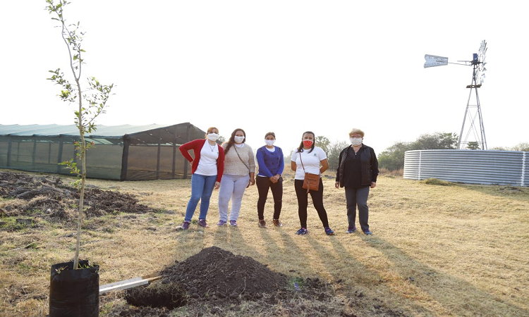 Plantamos 5 mil árboles durante el primer año  