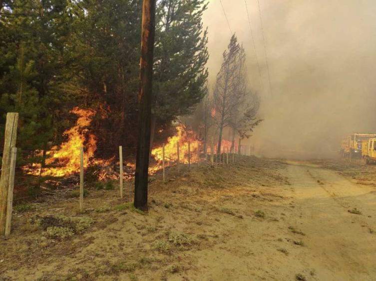 El daño ambiental en El Bolsón es el más grande de la historia