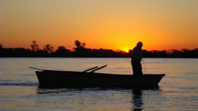 Pesca comercial: prorrogaron el vencimiento de las licencias