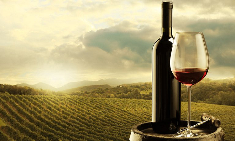 El Malbec argentino, es un hallazgo de la ciencia