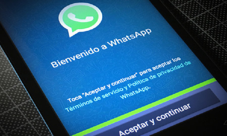 WhatsApp: las consecuencias a quienes no acepten los términos de privacidad