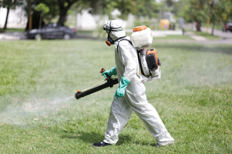 La Municipalidad intensifica la fumigación de mosquitos