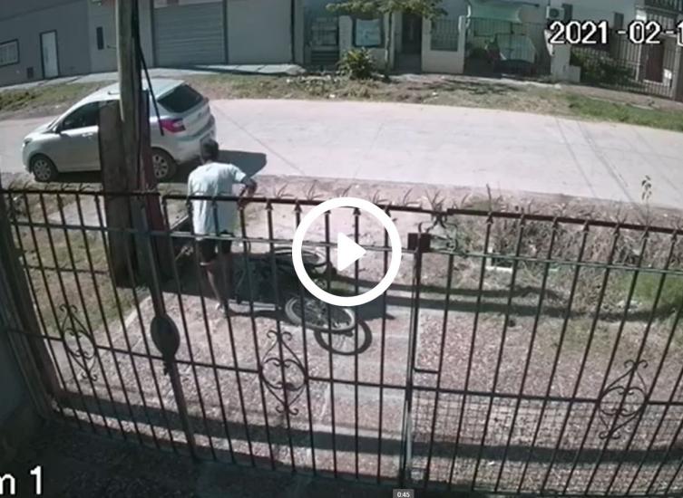 Video: Así roban cables de teléfono en Barrio San Martín