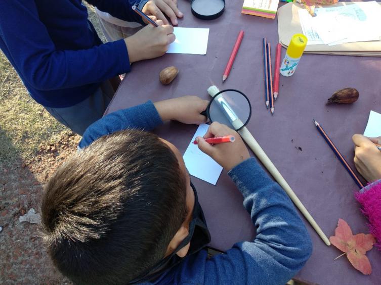 Puesta a punto de los protocolos para el retorno a la actividad