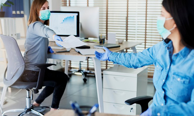 Pandemia: Búsqueda laboral en verano