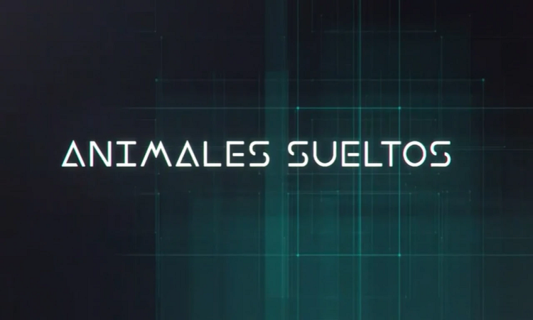Animales Sueltos cambia de canal