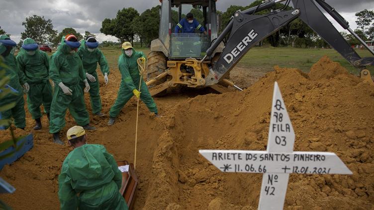 La cepa amazónica ya está en casi todo Brasil