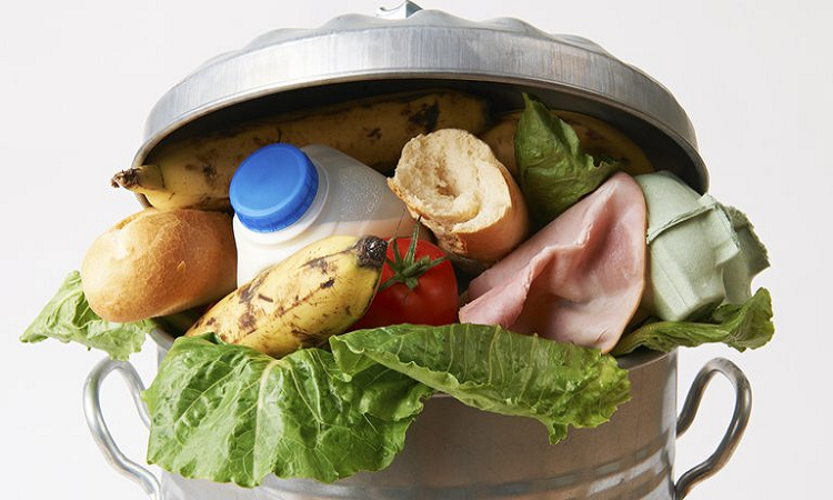 ONU: se desperdicia el 17% de todos los alimentos disponibles en el mundo
