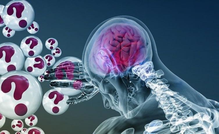 Codificación predictiva cerebral y cómo nos relaciona con lo que nos rodea