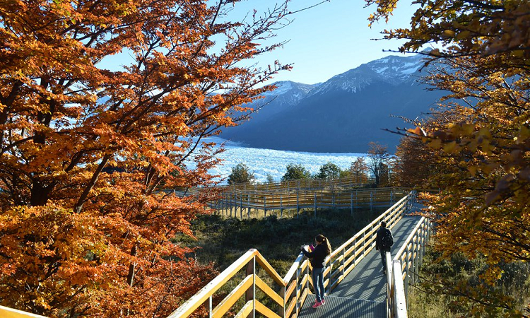 Otoño en El Calafate