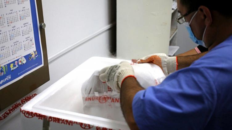 La provincia recibió 23.400 nuevas dosis de Sputnik V
