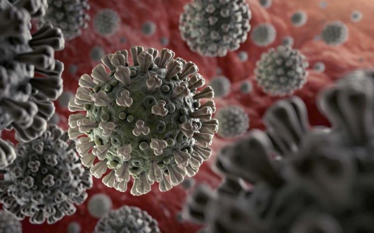 Coronavirus: confirmaron la presencia de las cepas de Manaos y Reino Unido en la provincia
