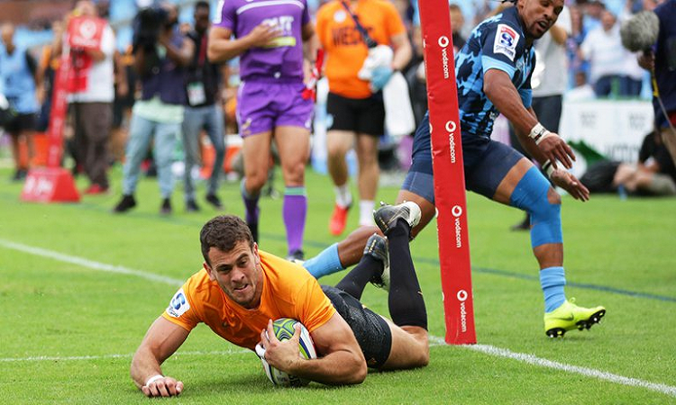 Súper Rugby: el futuro de las franquicias argentinas